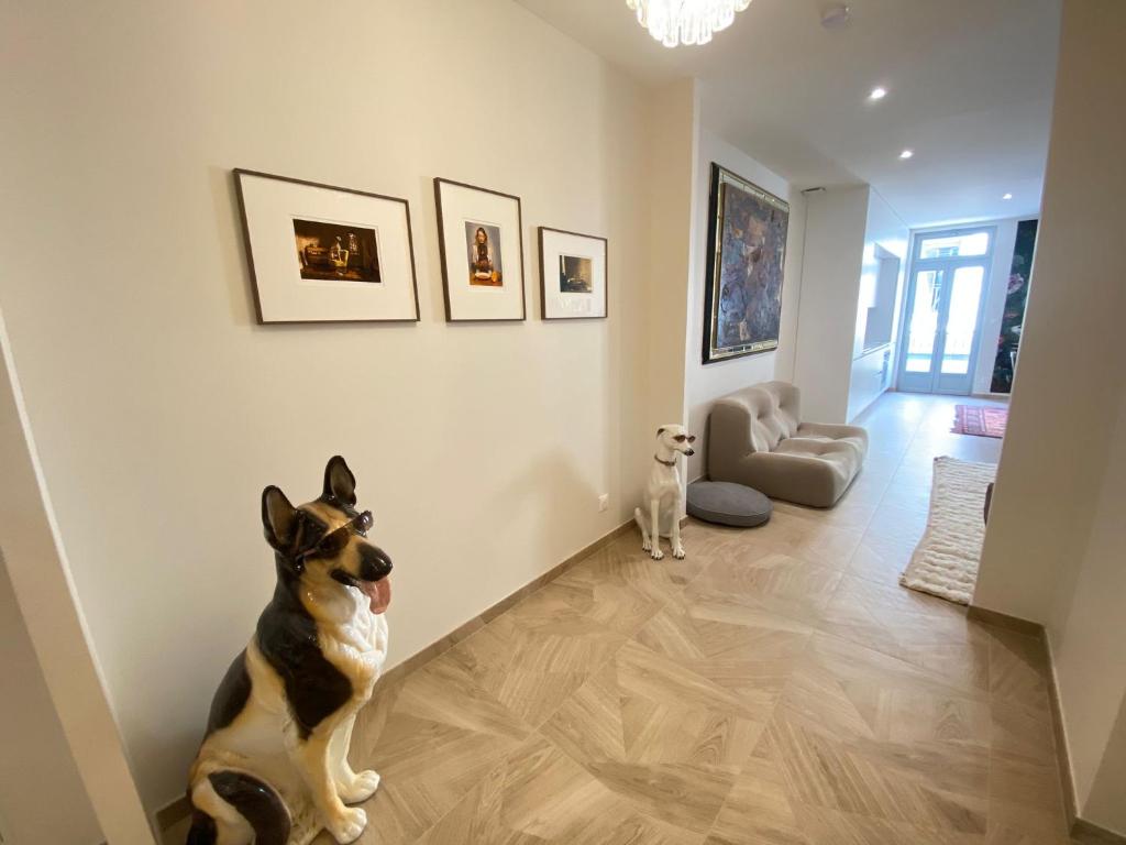 Les Chiens - Atypique T3 en Centre ville, Wifi - 1