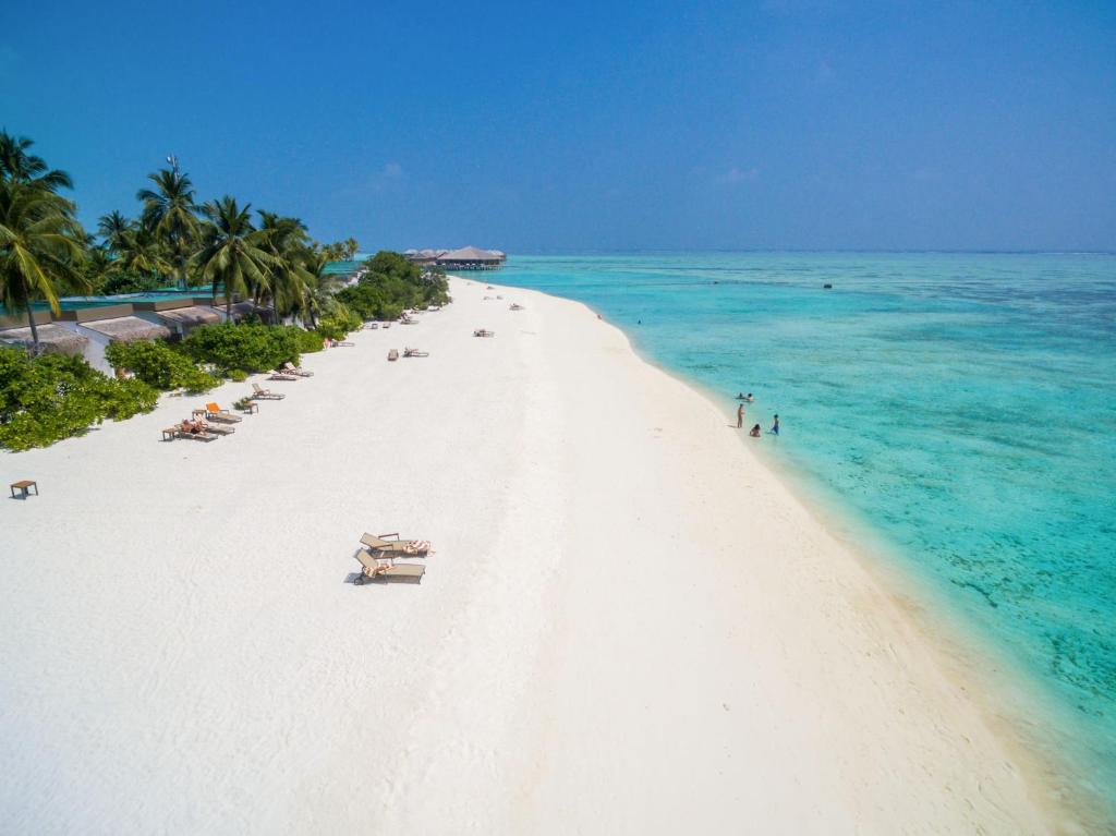 Beach, Cocoon Maldives - All Inclusive in Maldive Islands