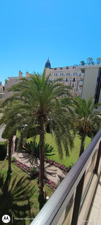 Les Jardins de la Croisette- luxueux 2p terrasse parking - 1