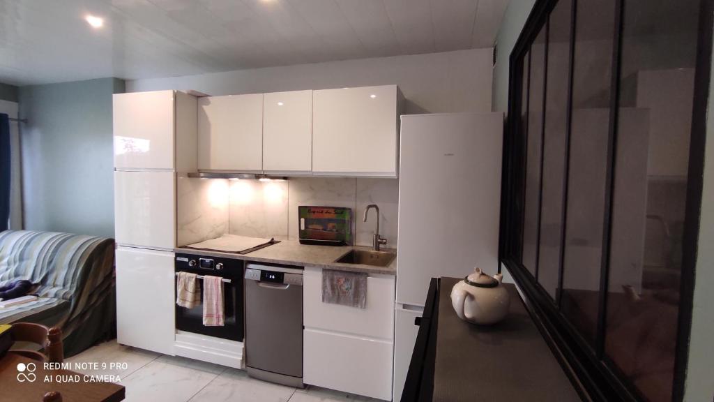 Magnifique appartement au GRAU DU ROI - 3