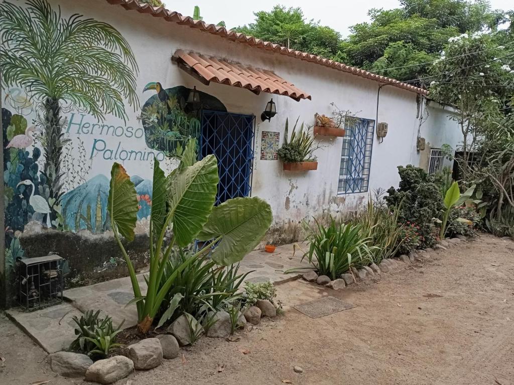 Hermoso Palomino Guest house - 5