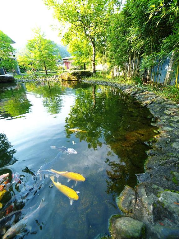 Surrounding environment