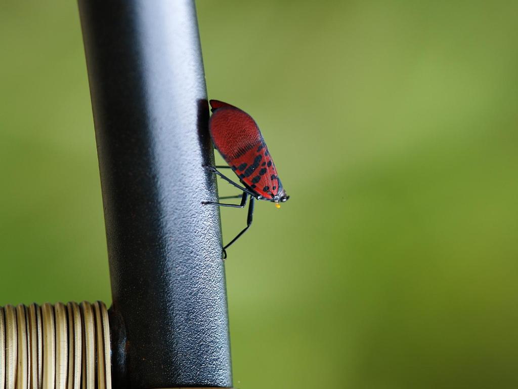 Surrounding environment