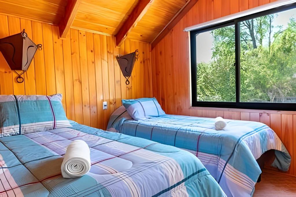 Impresionante casa + Starlink | Bosque y estufa - 4