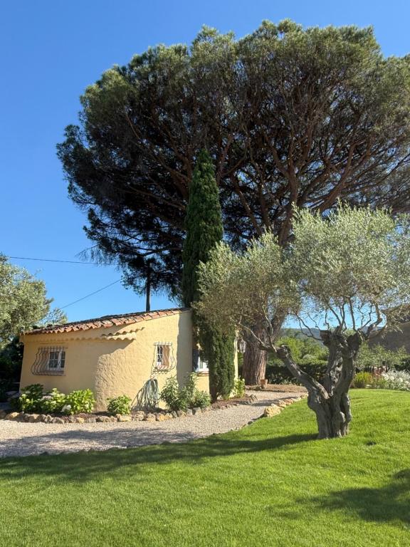 Le mazet du grand pin - 2
