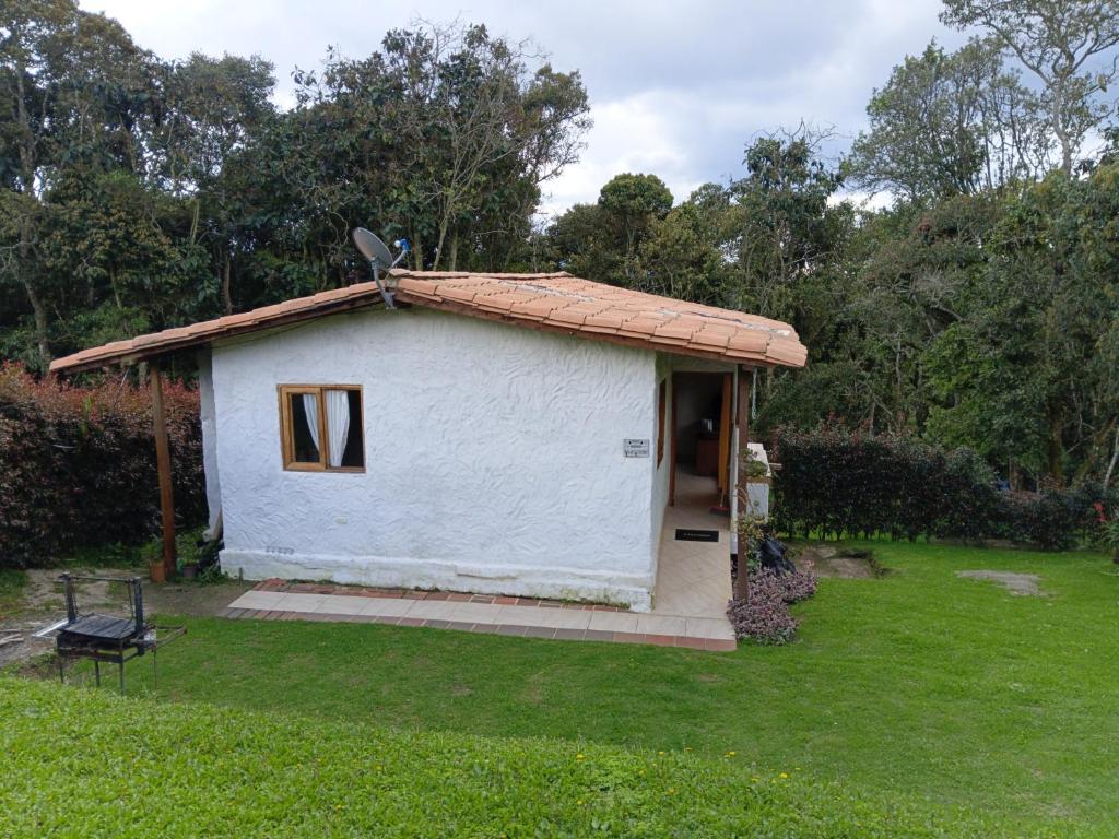 Alma de Acero - 2