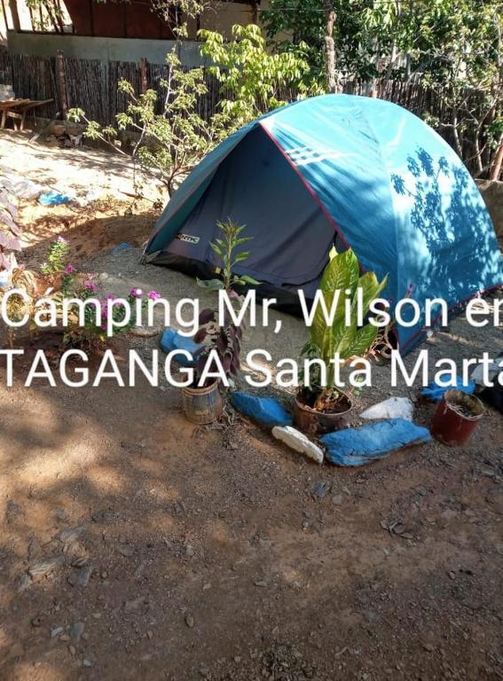 casa camping mr wilson - 5