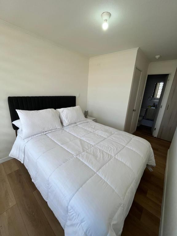 Apartamento Antofagasta - 1