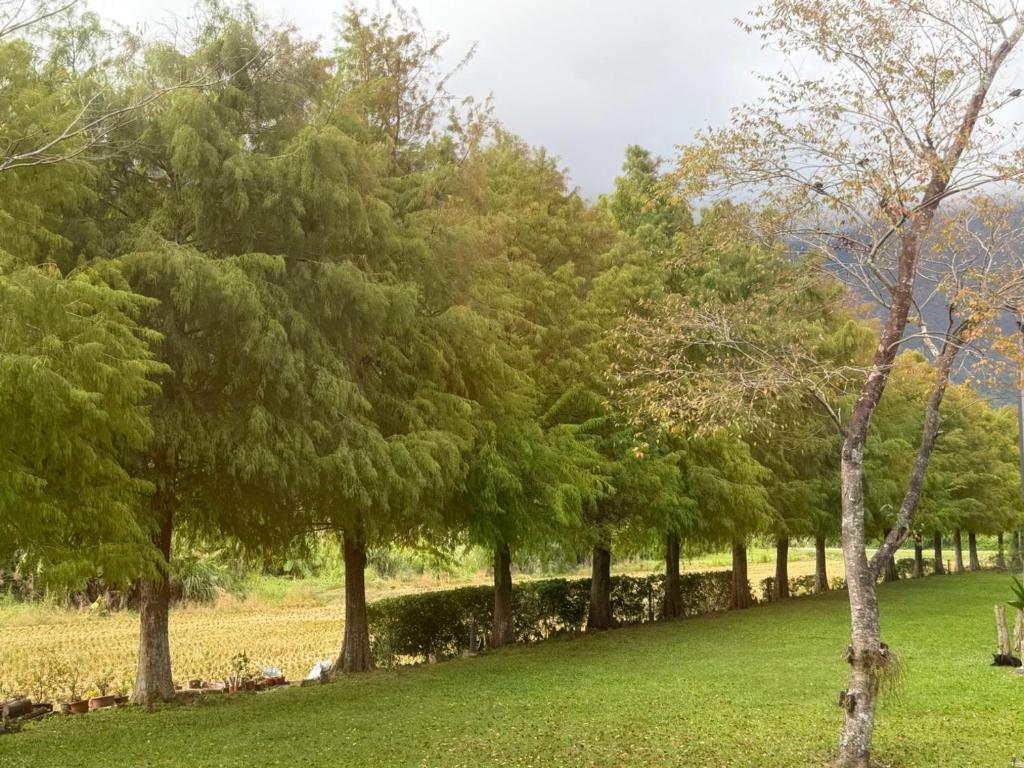 Surrounding environment