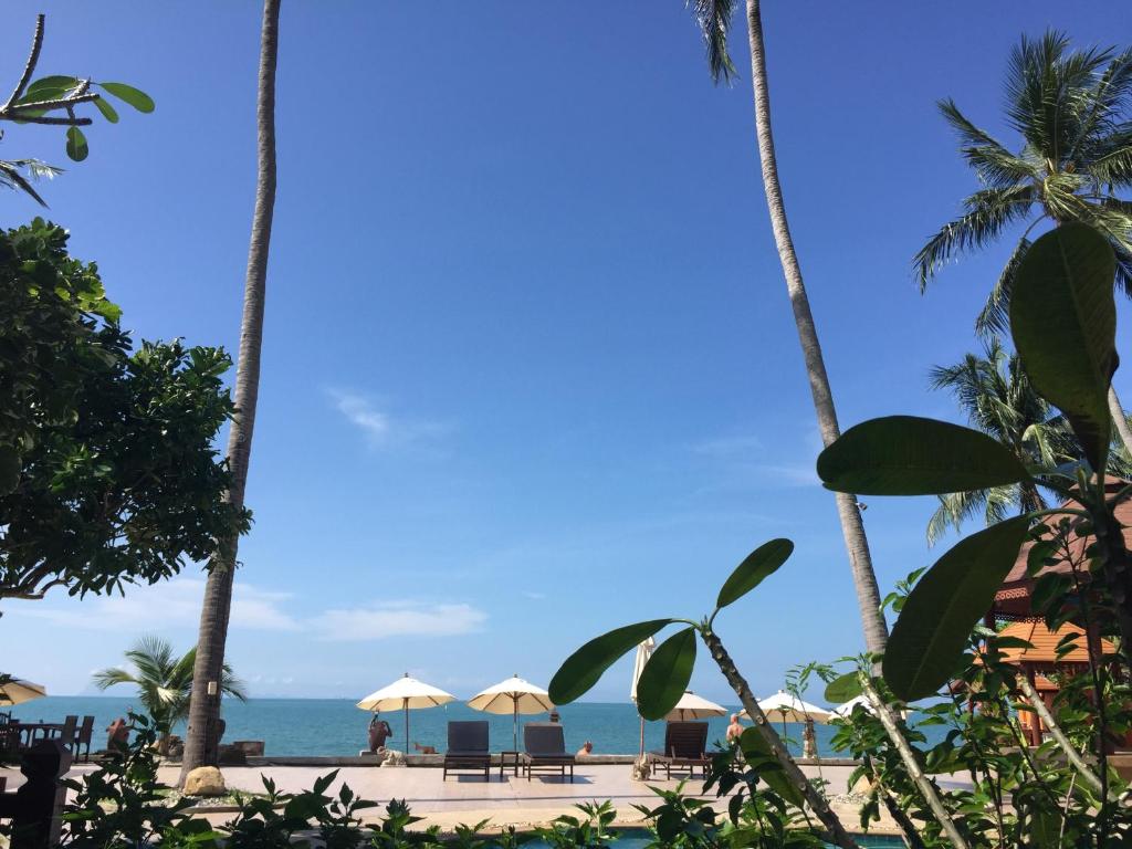 View