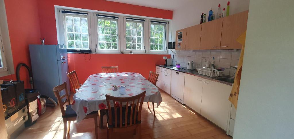 Zentral gelegene Wohnung mit grossem Garten - 4