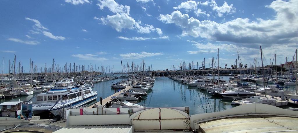 la terrasse des mats - 1