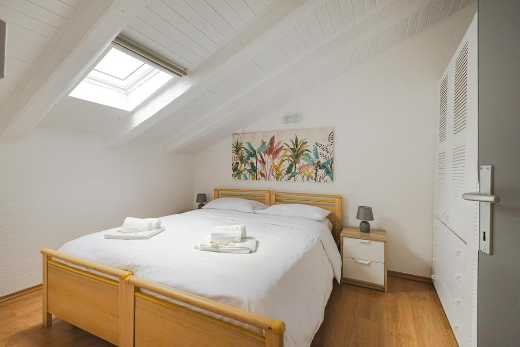 Free Parking City Center Borgo Teresiano loft - 5