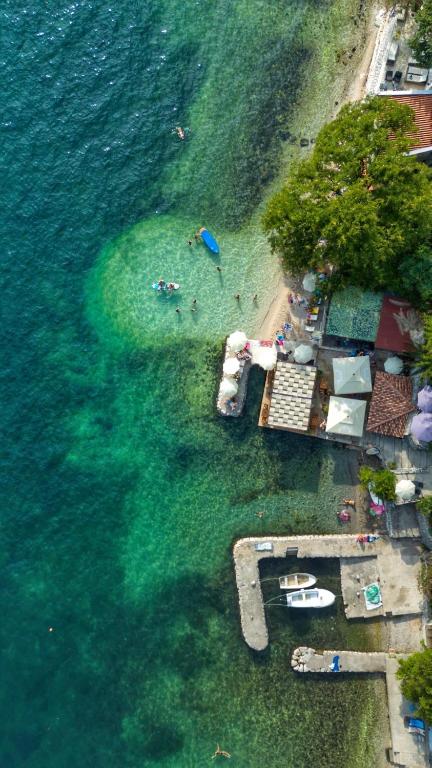 D&N Adriatic Nest - 3