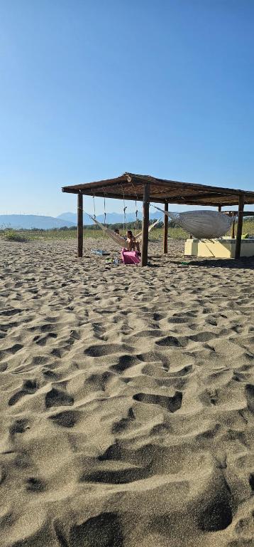 Flamingos Olive House - 3