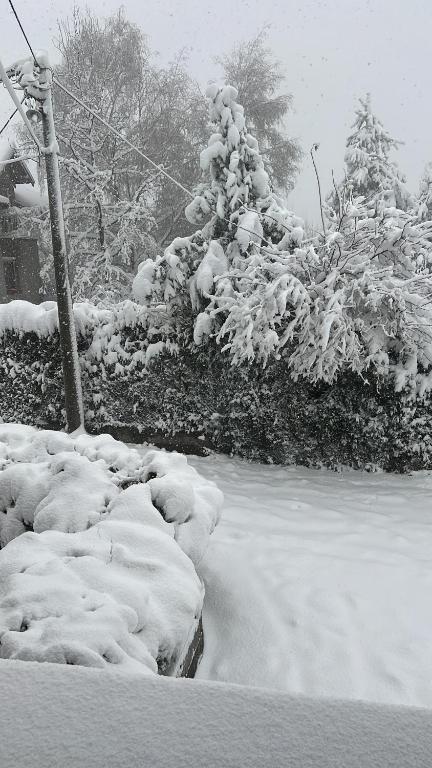 Kuća za izdavanje - 2