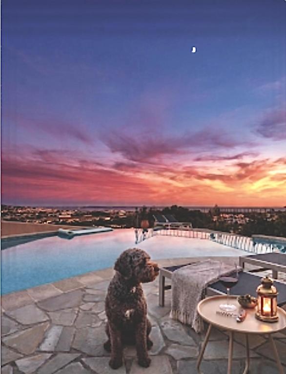 Villa Belvédère Cannes - Panoramique 180 - 4