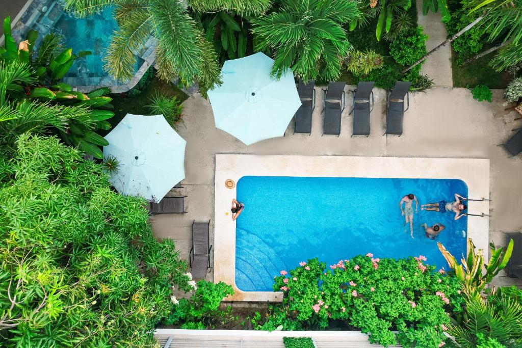 Swimming pool