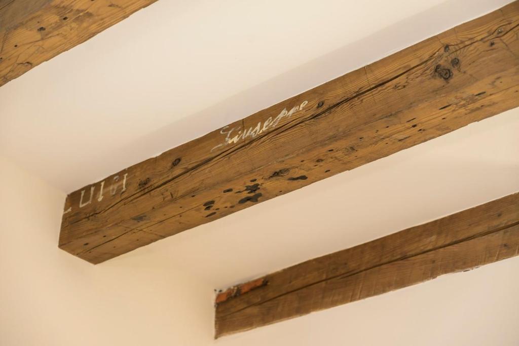 Modern Comfort in the Heart of Bologna - BeMyHost - 5