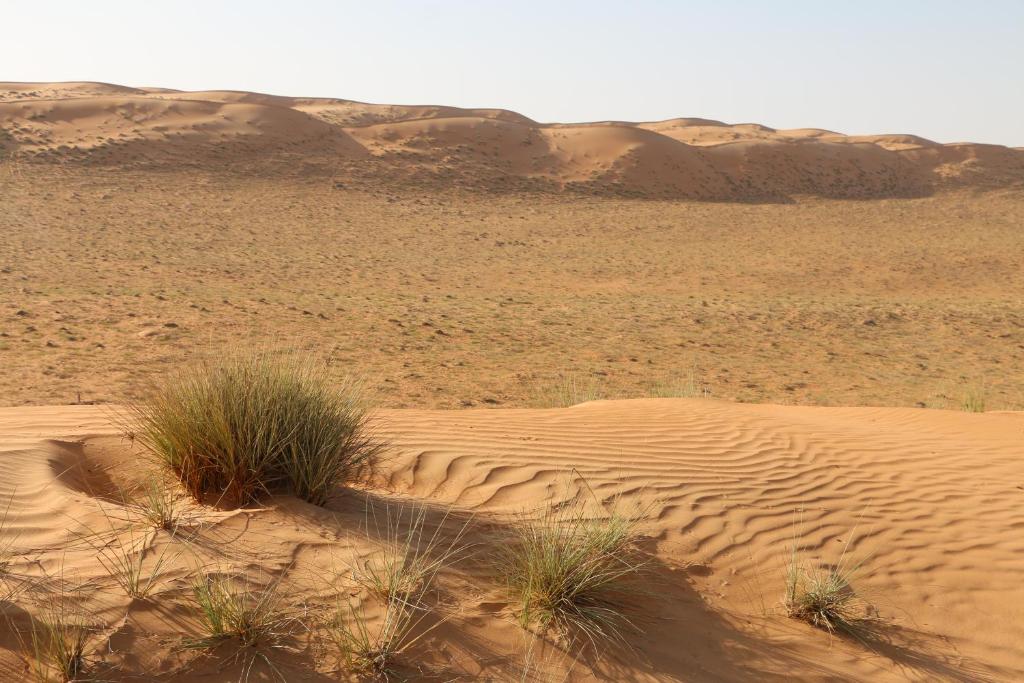 Surrounding environment