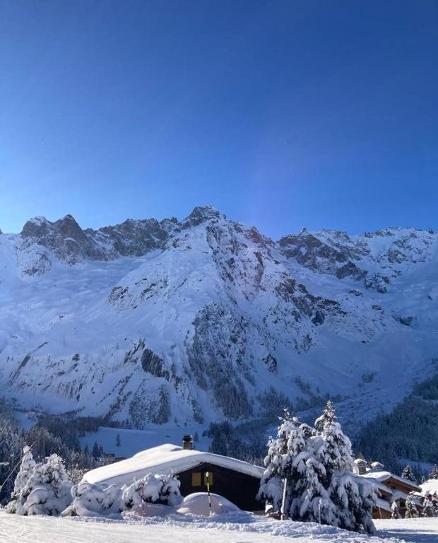 La Combe Verte Chalet - 4