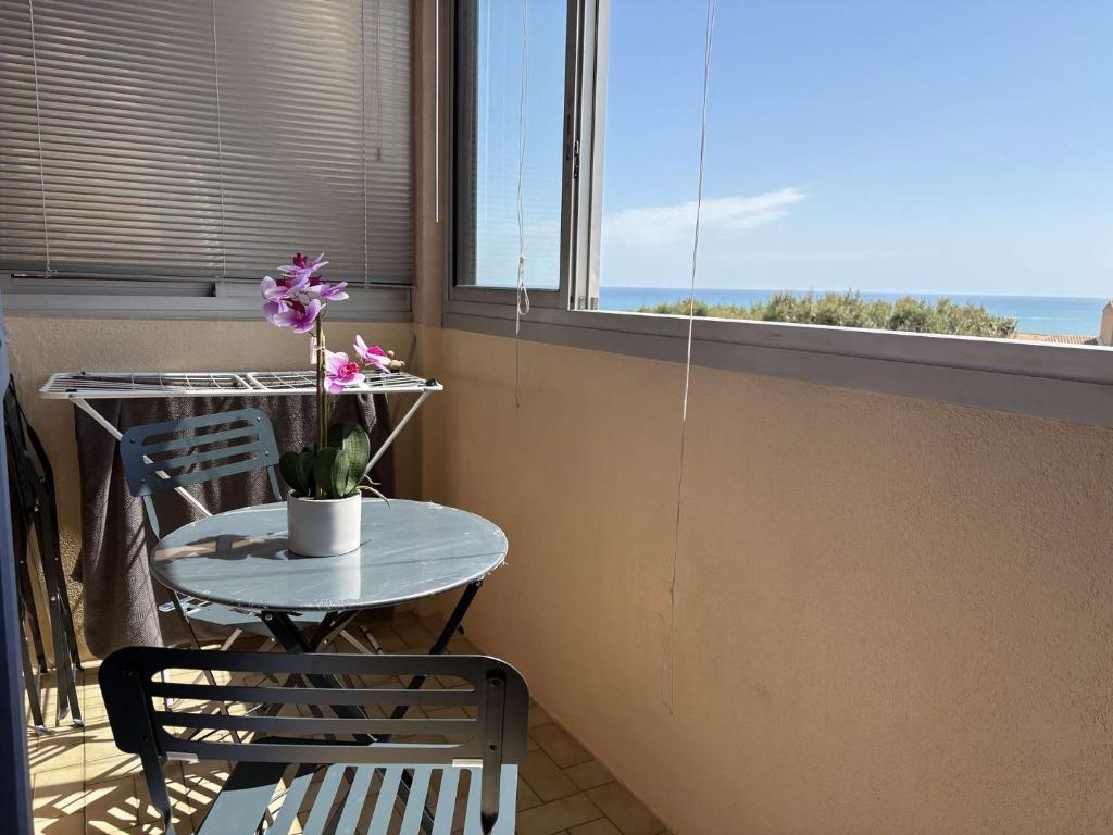 SP520-M326 Appartement 2 pièces 4 couchages SAINT PIERRE LA MER - 2