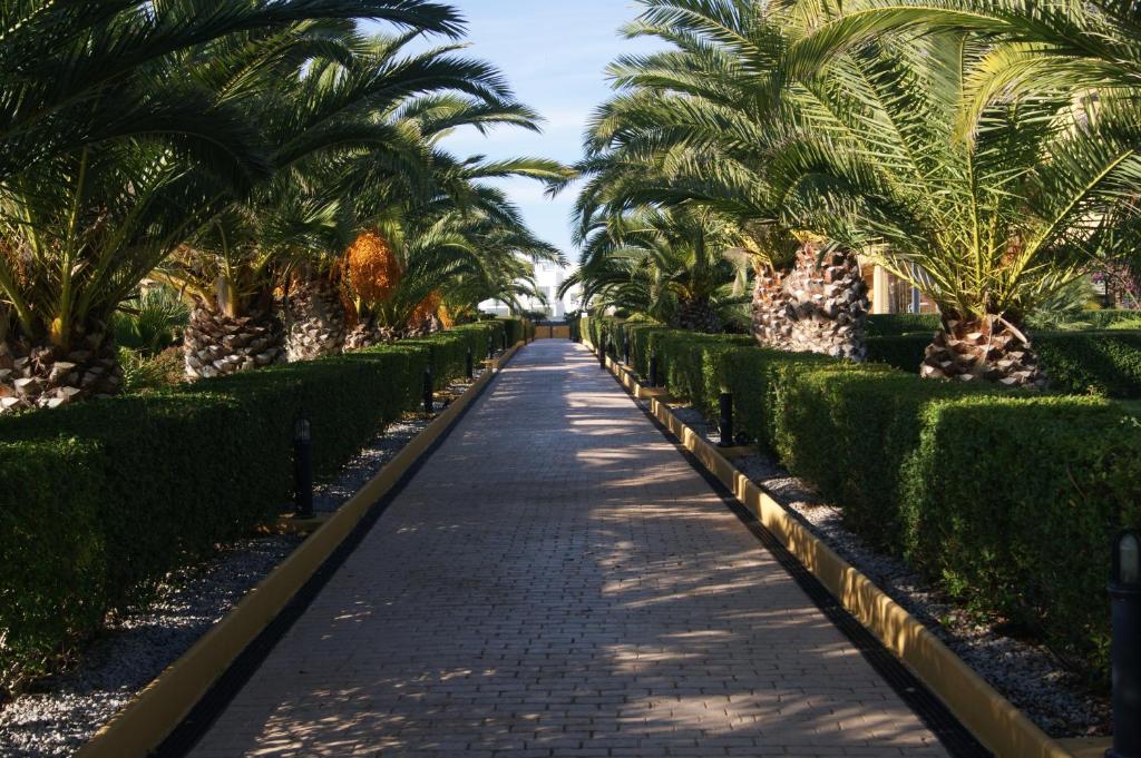 Alcocebre Beach Resort - 3
