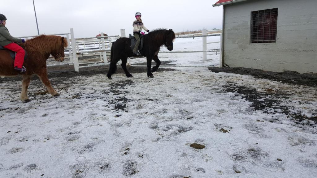 Horseback riding
