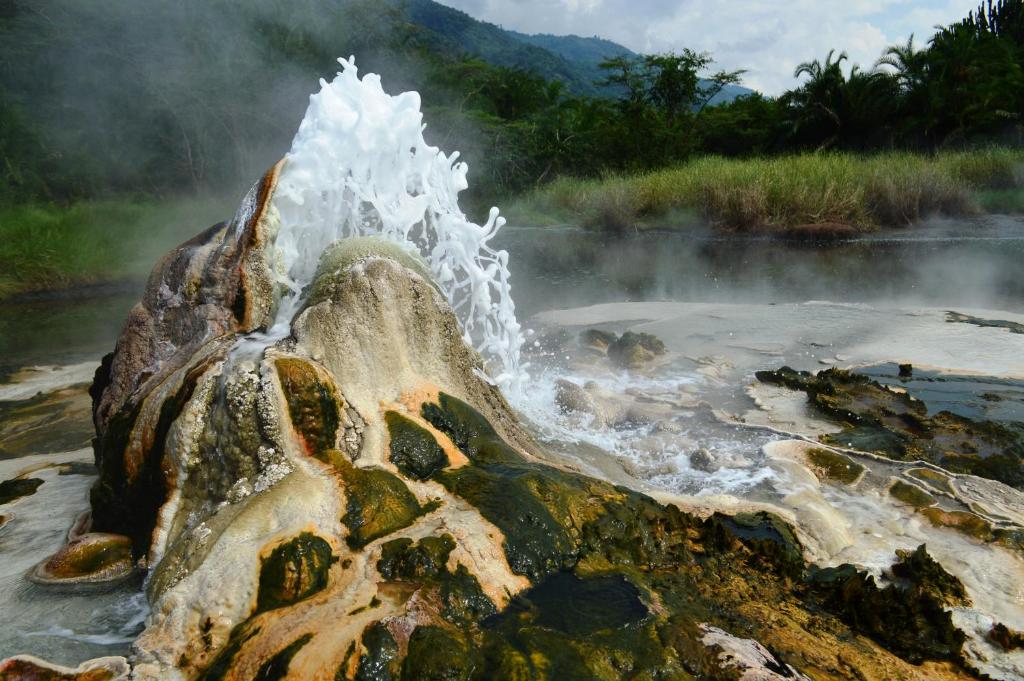 周辺観光スポット