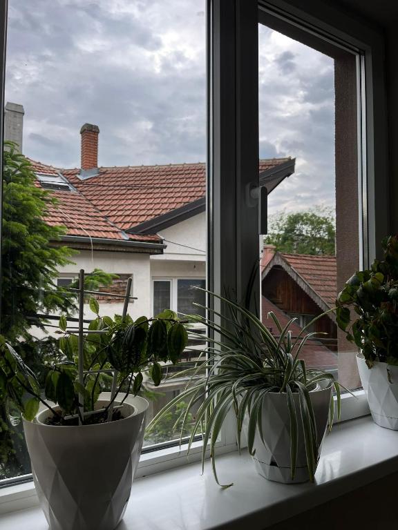 Studio Apartman - 3