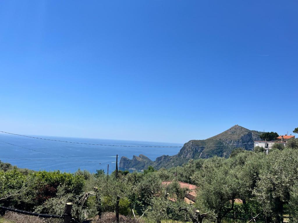 La casa nel verde - 3