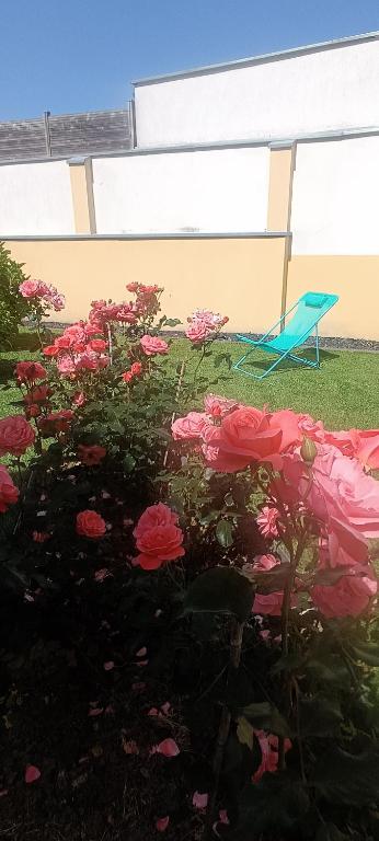 La Pause Bleue - 3
