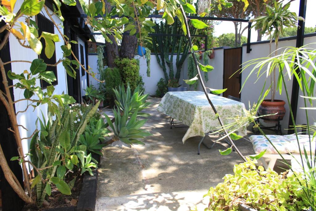 Bungalow para quienes buscan tranquilidad - 2