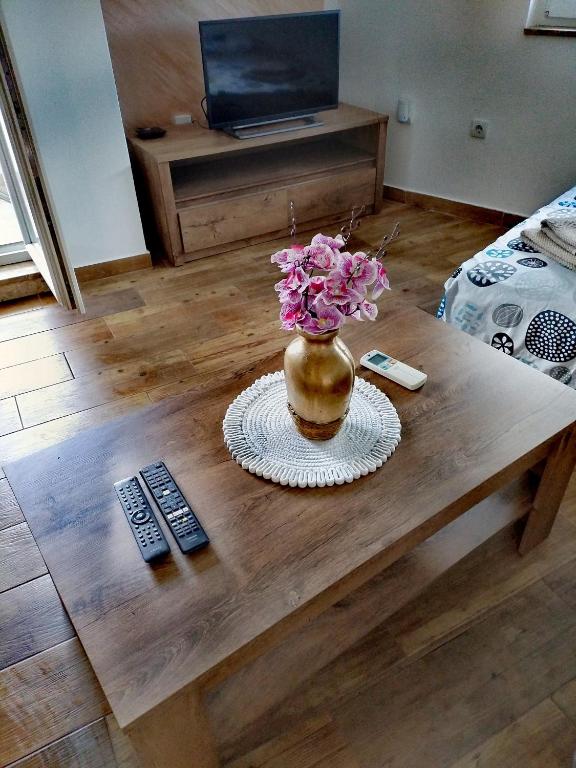 Apartman centar grada 1 - 2
