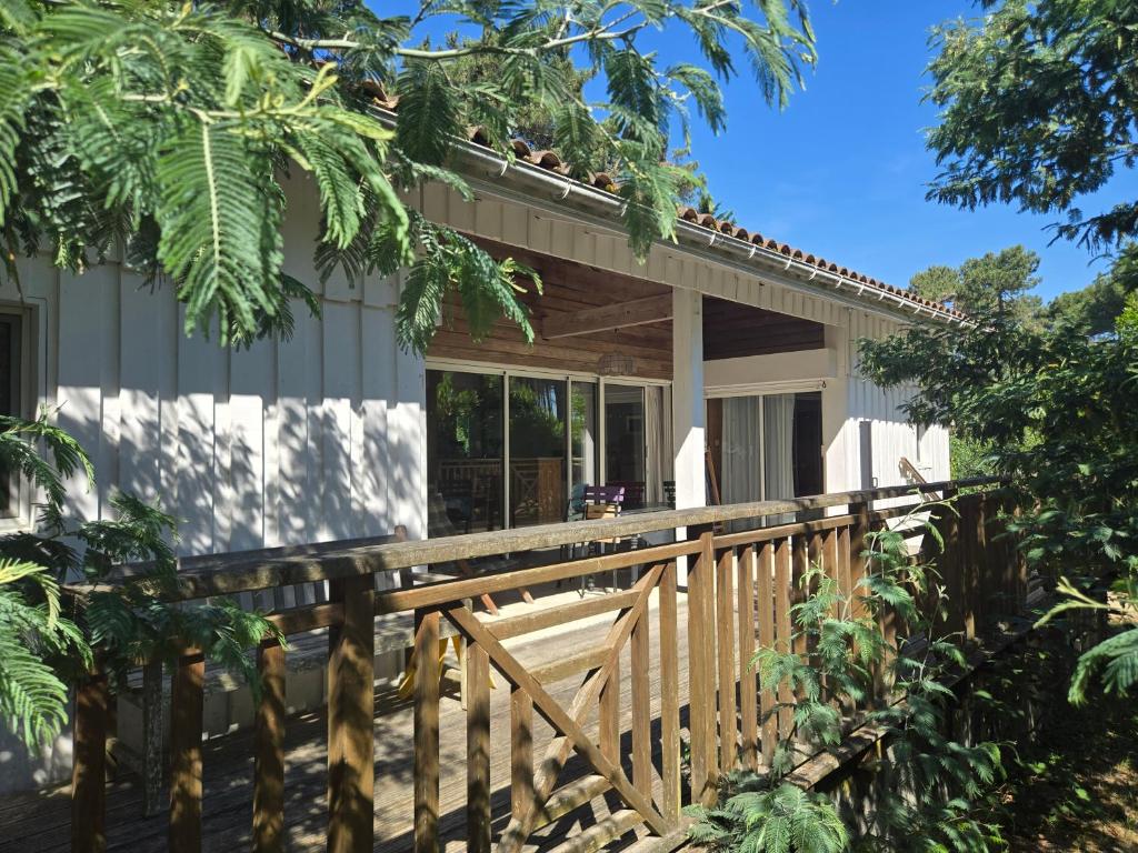 Chalet Mimosa - 1