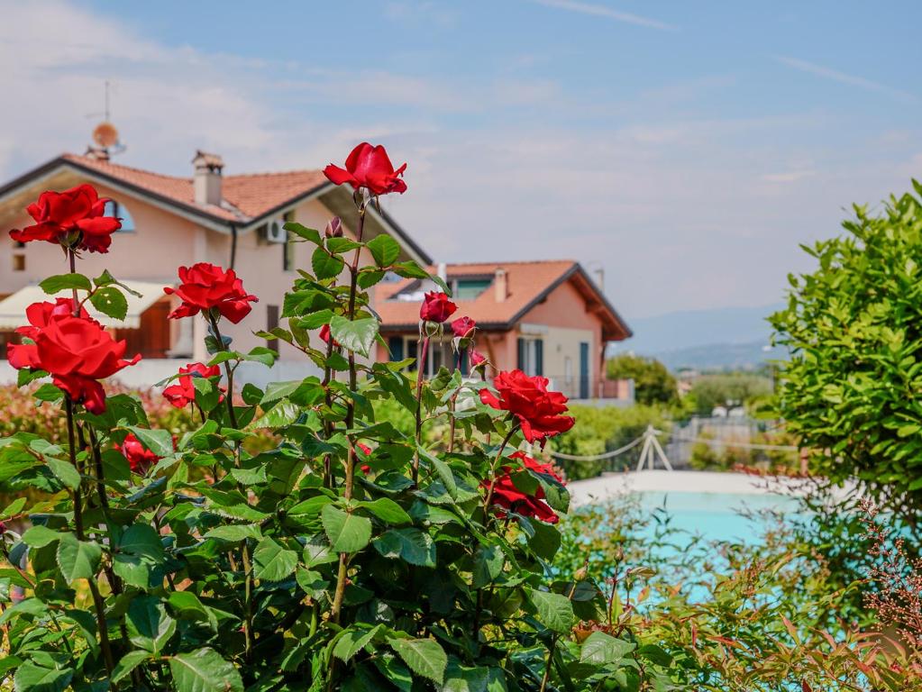 New Home Lazise - 4