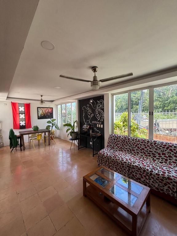 Casa tortuga - 3