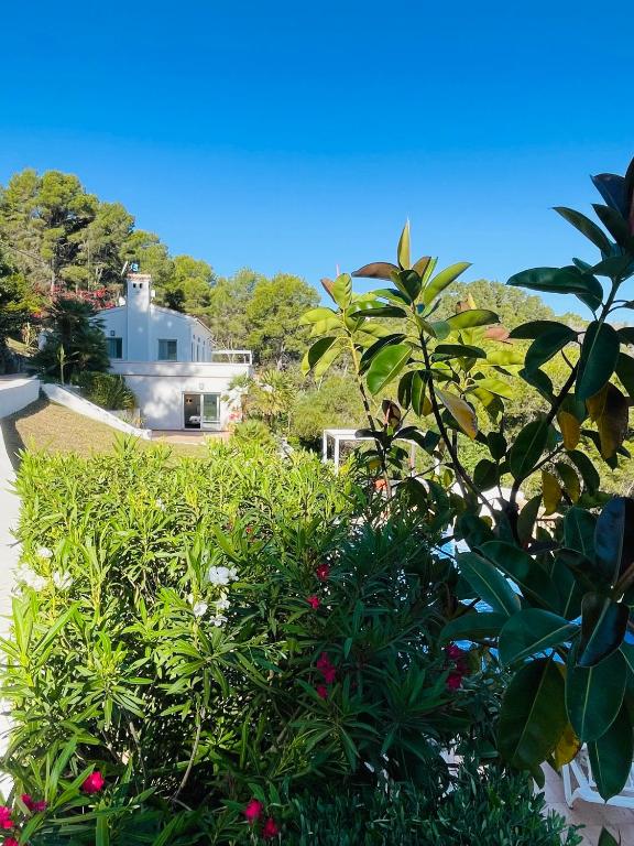 La Solana - 5