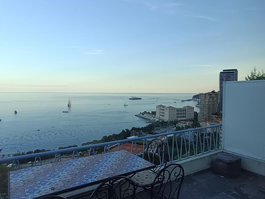 Duplex Residence with Monte Carlo Sea View & 2 Terraces - 3