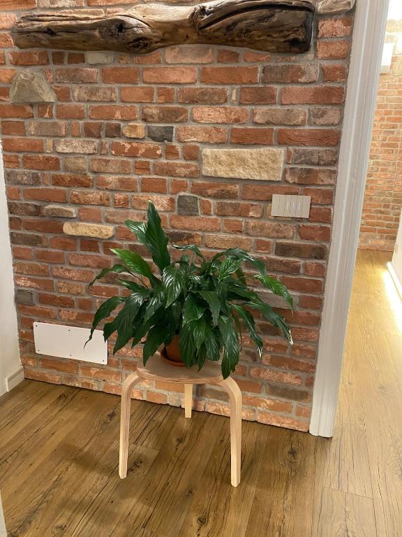 The Sound, Chic Historic Apartment 500m from lake - 5