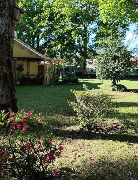 Maison avec jardin sur Andernos avec spa - 2