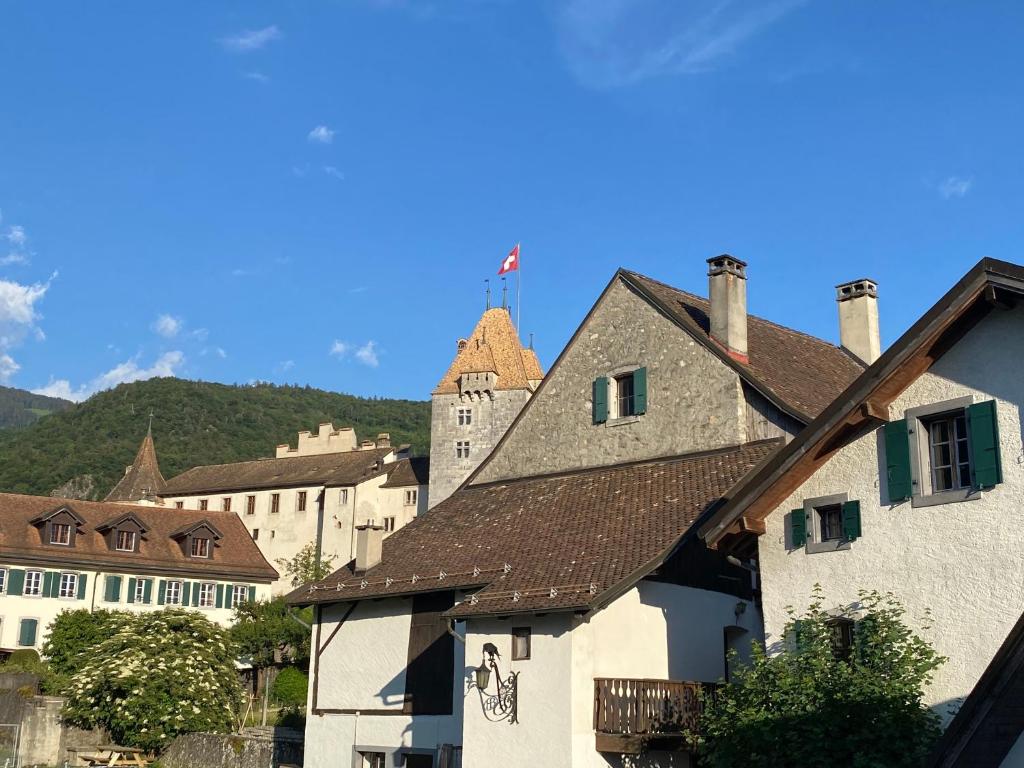 Studio avec vue sur le Château d'Aigle - 1