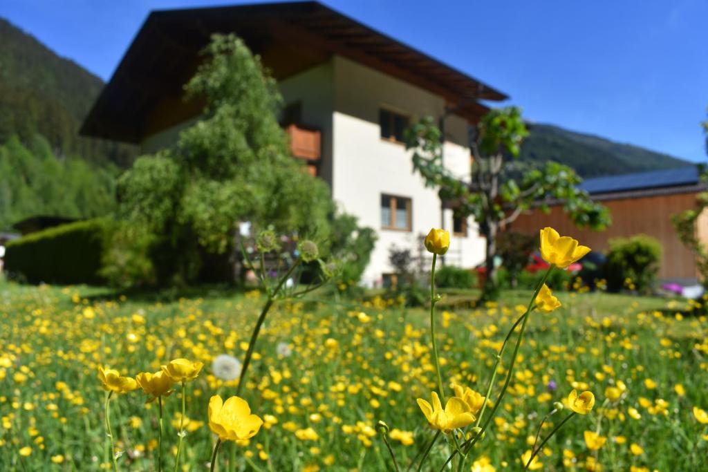 Landhaus Auen - 2