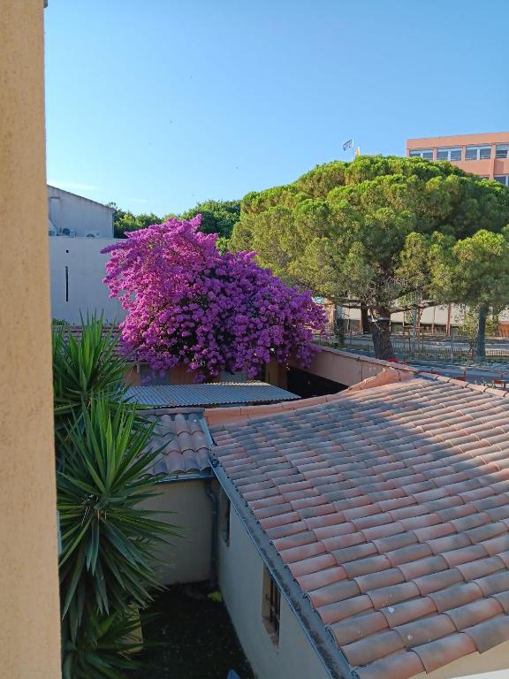 Magnifique studio - Augusta Résidence du Port - à 50 m du vieux Port et de ses animations - 2
