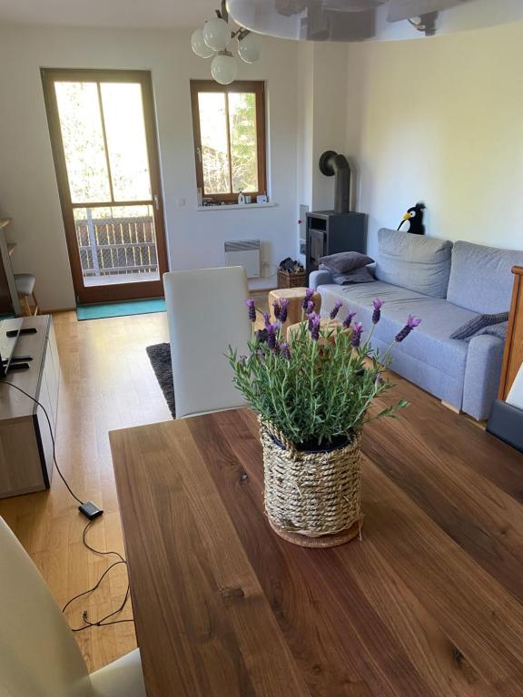Appartment Rosennock - 2