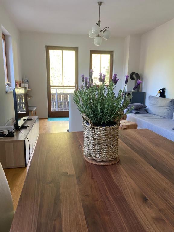 Appartment Rosennock - 1