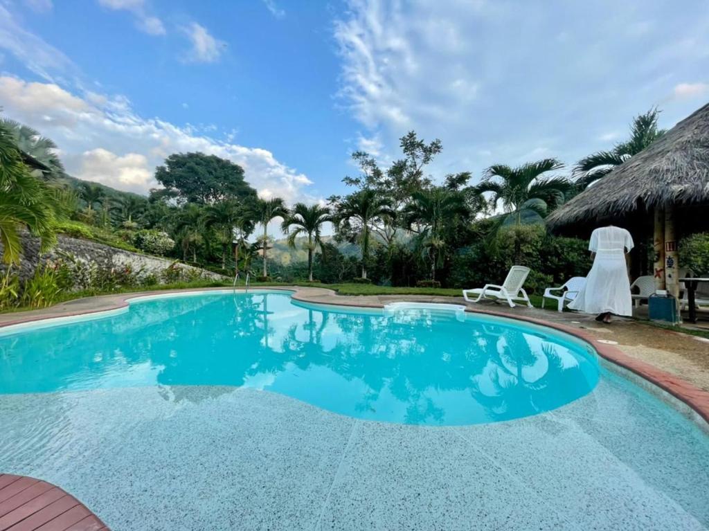 Ecohotel Campo Alegre Norcasia Caldas - 3
