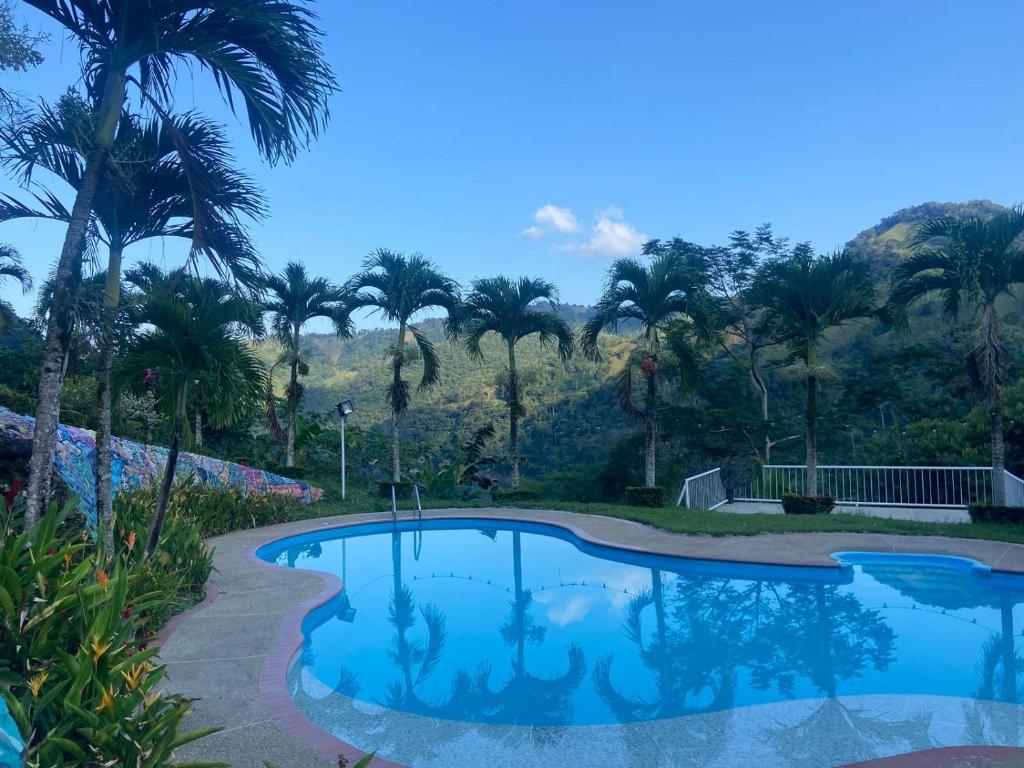 Ecohotel Campo Alegre Norcasia Caldas - 2