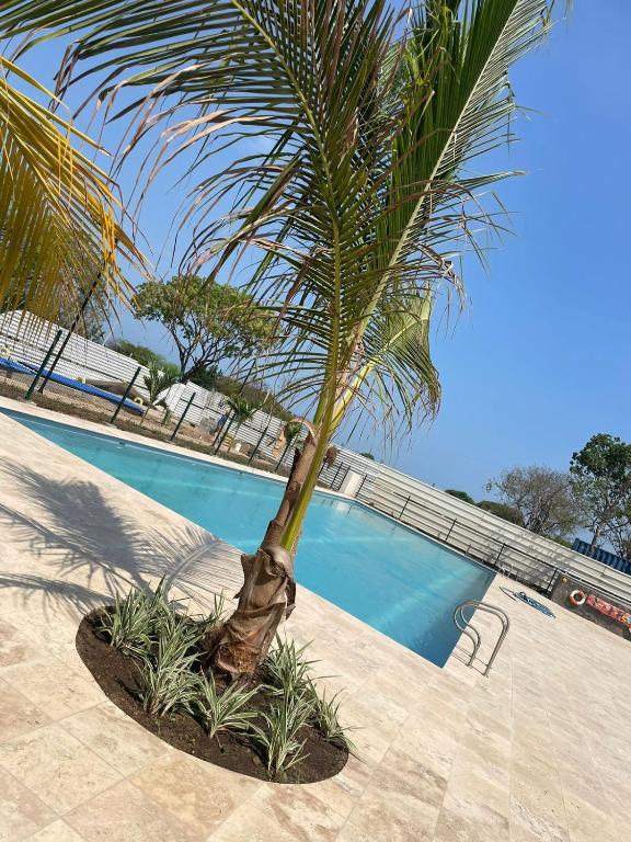Loft moderno con piscinas tipo resort y playa - 5