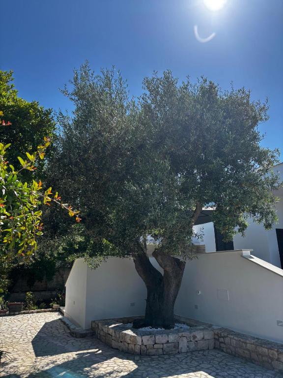 Villa Giorgia Polignano A Mare - 1